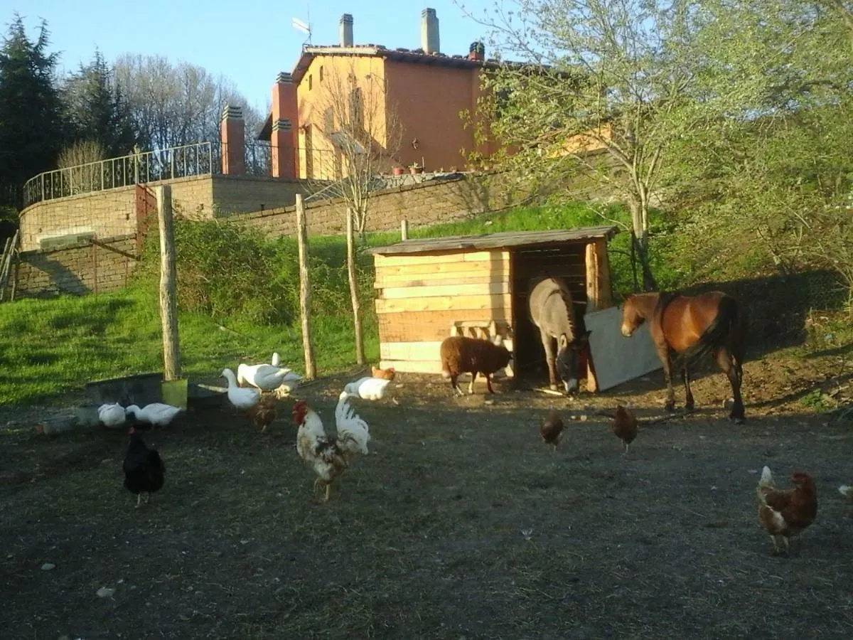 Guest house Casa Bindi Hotel Triana Italy