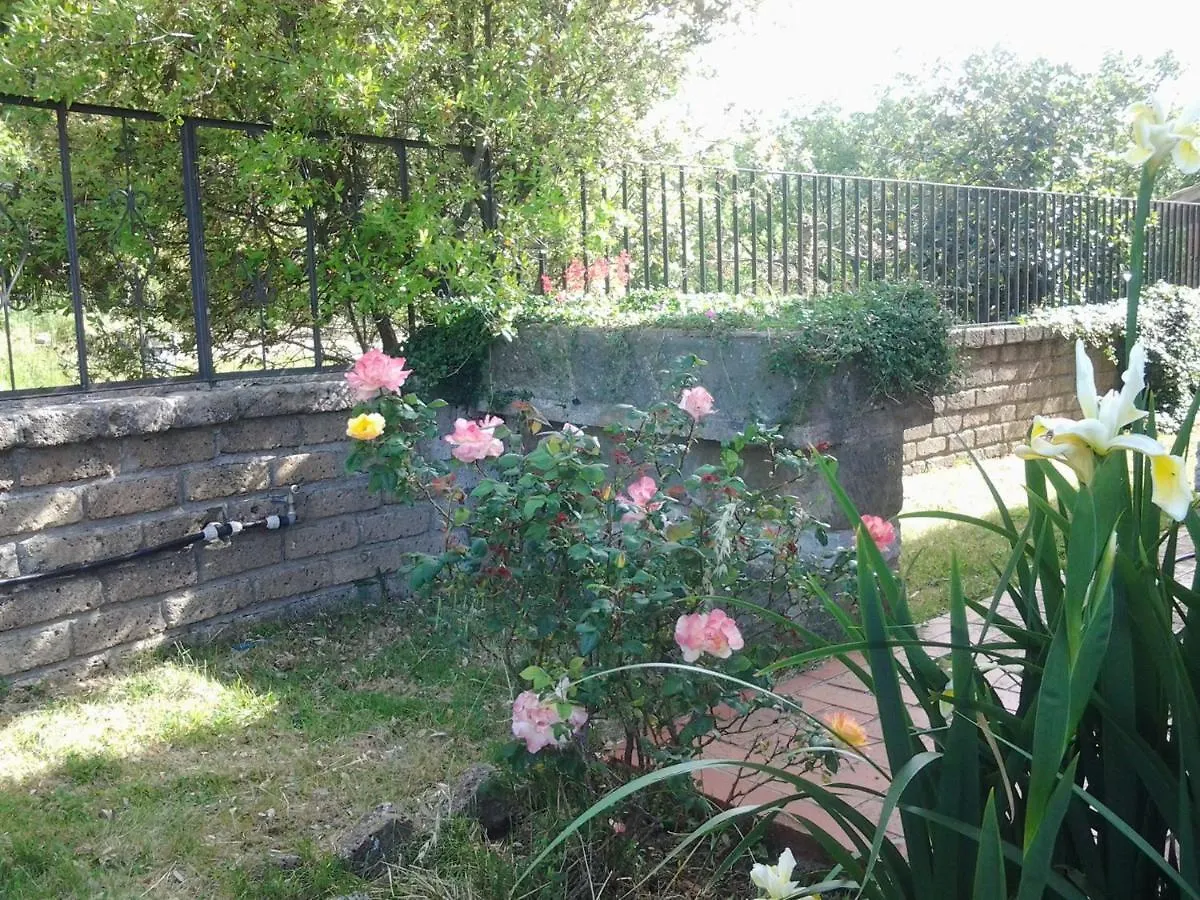 Guest house Casa Bindi Hotel Triana