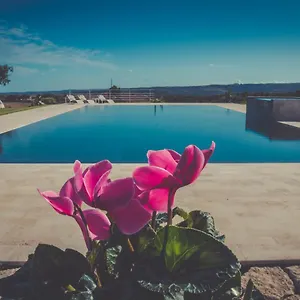La Mela Di Venere , Palazzolo Acreide Italië
